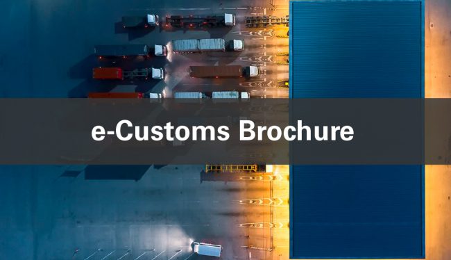 e-Customs Brochure